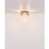 Globo lighting Satella ceiling light, ceiling spotlight, wall light, wall spotlight brown, chrome, black, 2-light sources