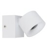 Globo lighting Rae ceiling light LED white, 1-light source