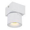 Globo lighting Rae ceiling light LED white, 1-light source