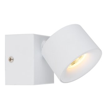 Globo lighting Rae ceiling light LED white, 1-light source