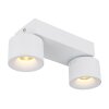 Globo lighting Rae ceiling light LED white, 2-light sources