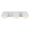 Globo lighting Rae ceiling light LED white, 3-light sources