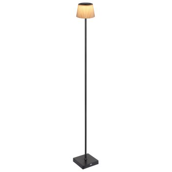 Globo lighting Gregoir floor lamp LED black, 1-light source