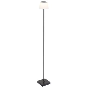 Globo lighting Gregoir floor lamp LED black, 1-light source