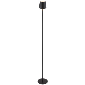 Globo lighting Vannie floor lamp LED black, 1-light source