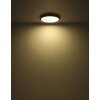 Globo lighting Suna ceiling light LED black, 1-light source, Remote control