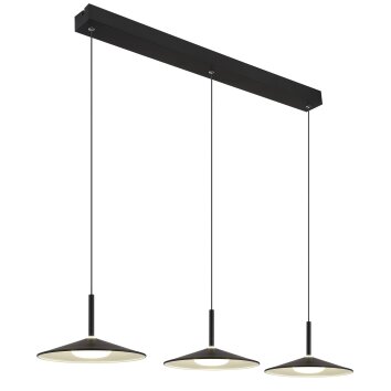 Globo lighting Lampone hanging light LED black, 1-light source