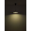 Globo lighting Lampone hanging light LED black, 1-light source