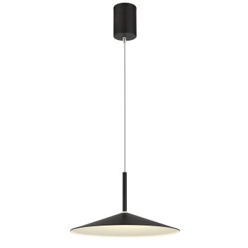 Globo lighting Lampone hanging light LED black, 1-light source