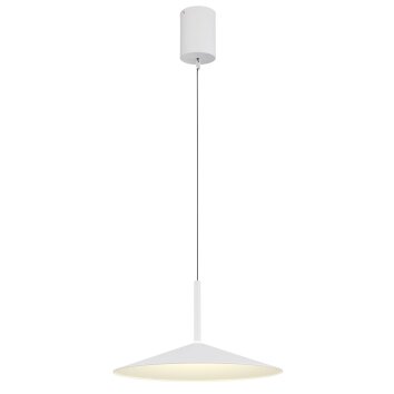 Globo lighting Lampone hanging light LED white, 1-light source