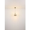 Globo lighting Firefly hanging light LED black, 1-light source