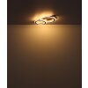 Globo lighting Jayden ceiling light LED Dark wood, Ecru, 1-light source