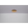 Globo lighting Heda ceiling light LED silver, 1-light source