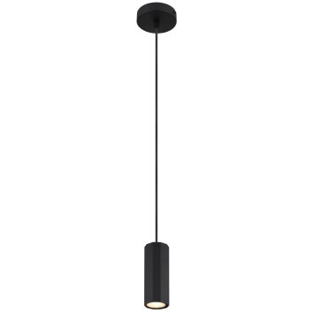 Globo lighting James hanging light black, 1-light source