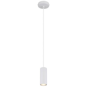 Globo lighting James hanging light white, 1-light source