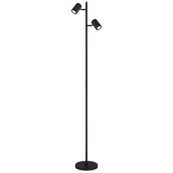 Globo lighting James floor lamp black, 2-light sources