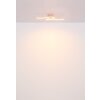 Globo lighting Tyler ceiling light LED pink, 1-light source