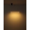 Globo lighting Kayson hanging light LED black, 1-light source