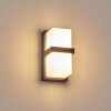 Antua outdoor wall light, Up & Down Light anthracite, 1-light source