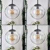 Gastor hanging light, globe light clear, 3-light sources