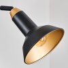 Vouzy ceiling light, pendant light black, 6-light sources