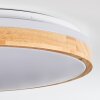 Sofo ceiling light, Panel LED white, 1-light source, Remote control