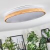 Sofo ceiling light, Panel LED white, 1-light source, Remote control