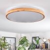 Sofo ceiling light, Panel LED white, 1-light source, Remote control