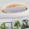 Sofo ceiling light, Panel LED white, 1-light source, Remote control