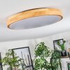 Sofo ceiling light, Panel LED white, 1-light source, Remote control