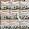 Sofo ceiling light, Panel LED white, 1-light source, Remote control