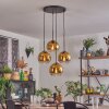 Koyoto hanging light, globe light gold, clear, 4-light sources