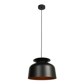 Steinhauer lights Skandina pendant light gold, black, 1-light source