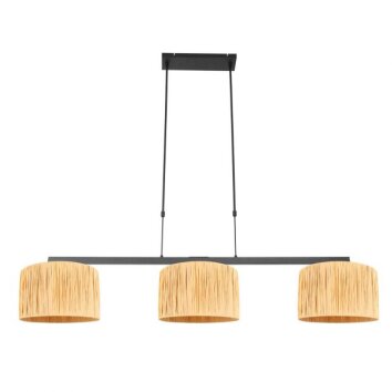 Steinhauer lights Stang pendant light black, 3-light sources