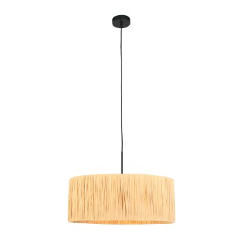 Steinhauer lights Light pendant light black, 1-light source