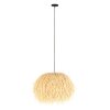 Steinhauer lights Grass pendant light black, 1-light source