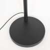 Steinhauer lights Light floor lamp black, 3-light sources