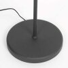 Steinhauer lights Bella floor lamp black, 1-light source