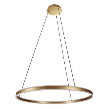 Steinhauer lights Ringlux pendant light LED gold, 2-light sources