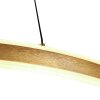 Steinhauer lights Ringlux pendant light LED gold, 2-light sources