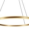 Steinhauer lights Ringlux pendant light LED gold, 2-light sources