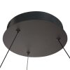 Steinhauer lights Ringlux pendant light LED black, 2-light sources