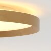 Steinhauer lights Flady ceiling light LED gold, 2-light sources