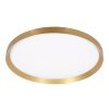 Steinhauer lights Flady ceiling light LED gold, 2-light sources