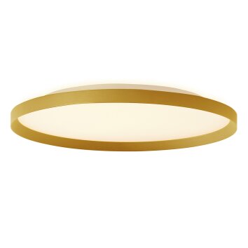 Steinhauer lights Flady ceiling light LED gold, 2-light sources