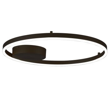 Steinhauer lights Mykty ceiling light LED black, 1-light source