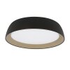 Steinhauer lights Mykty ceiling light LED gold, black, 1-light source