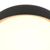 Steinhauer lights Mykty ceiling light LED gold, black, 1-light source