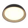 Steinhauer lights Mykty ceiling light LED gold, black, 1-light source