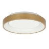 Steinhauer lights Ringlede ceiling light LED gold, 1-light source